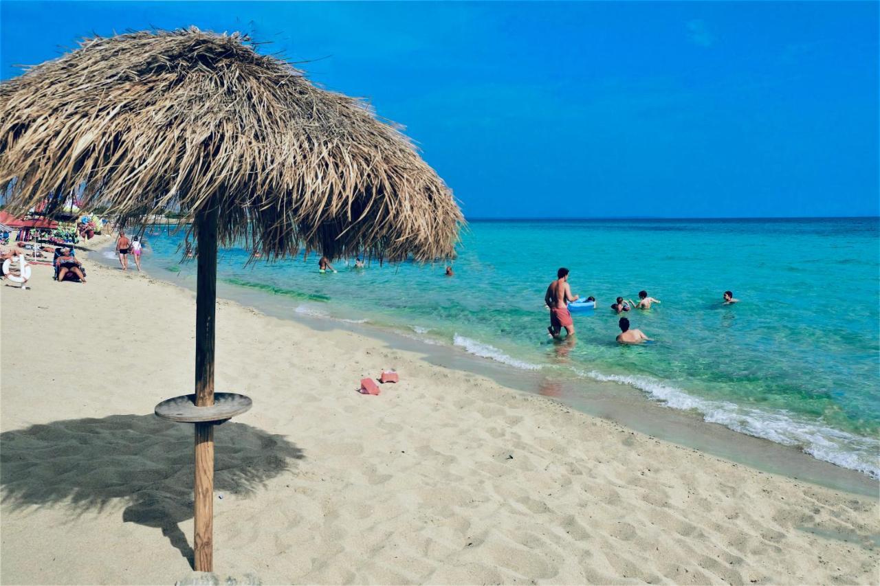 Da Casa Tiziana Ξενοδοχείο Porto Cesareo Εξωτερικό φωτογραφία